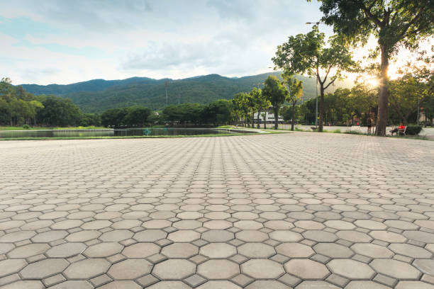 Best Local Driveway Pavers  in Halifax, VA